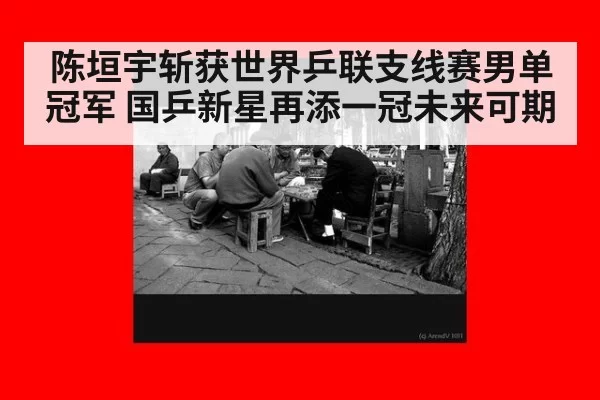 陈垣宇斩获世界乒联支线赛男单冠军 国乒新星再添一冠未来可期
