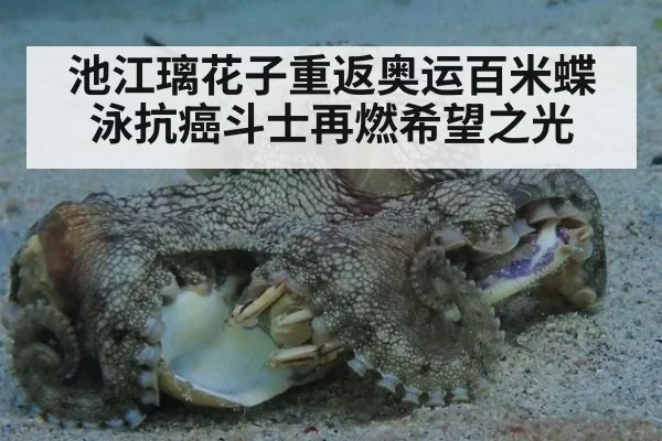 池江璃花子重返奥运百米蝶泳抗癌斗士再燃希望之光
